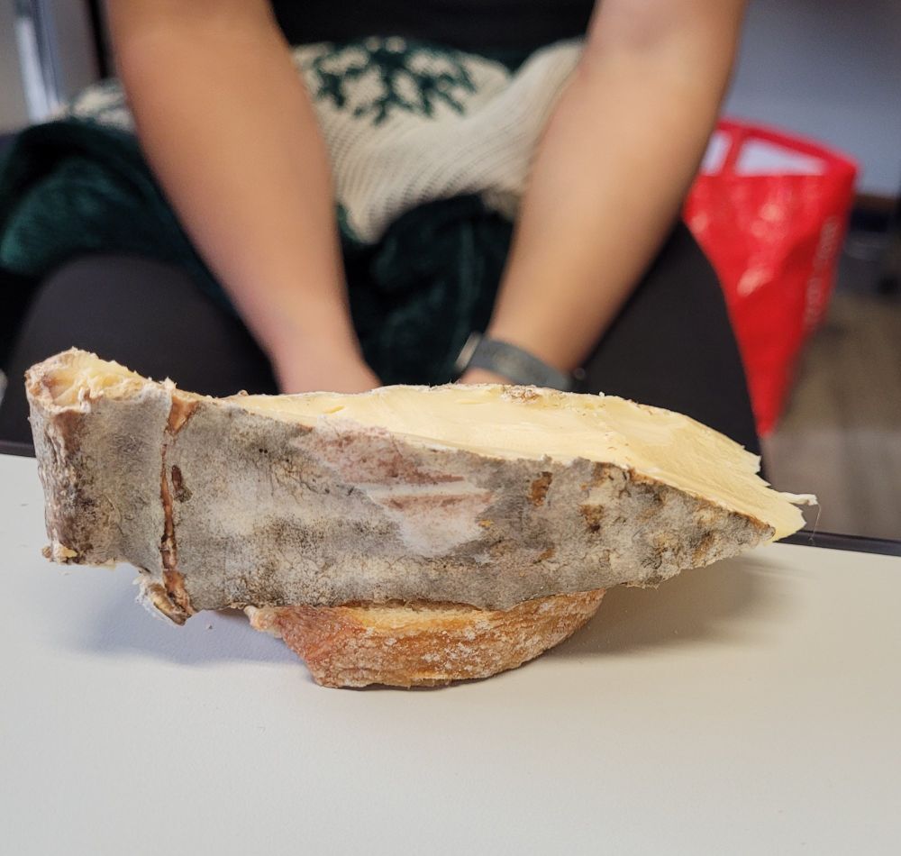 Tranche épaisse de Saint-Nectaire sur une tranche de pain fine, deux fois plus petite. 