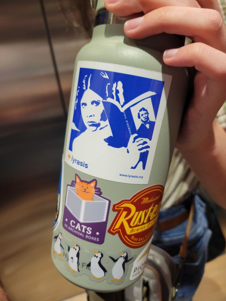 Princess Leia Lyrasis Sticker on a green water bottle.