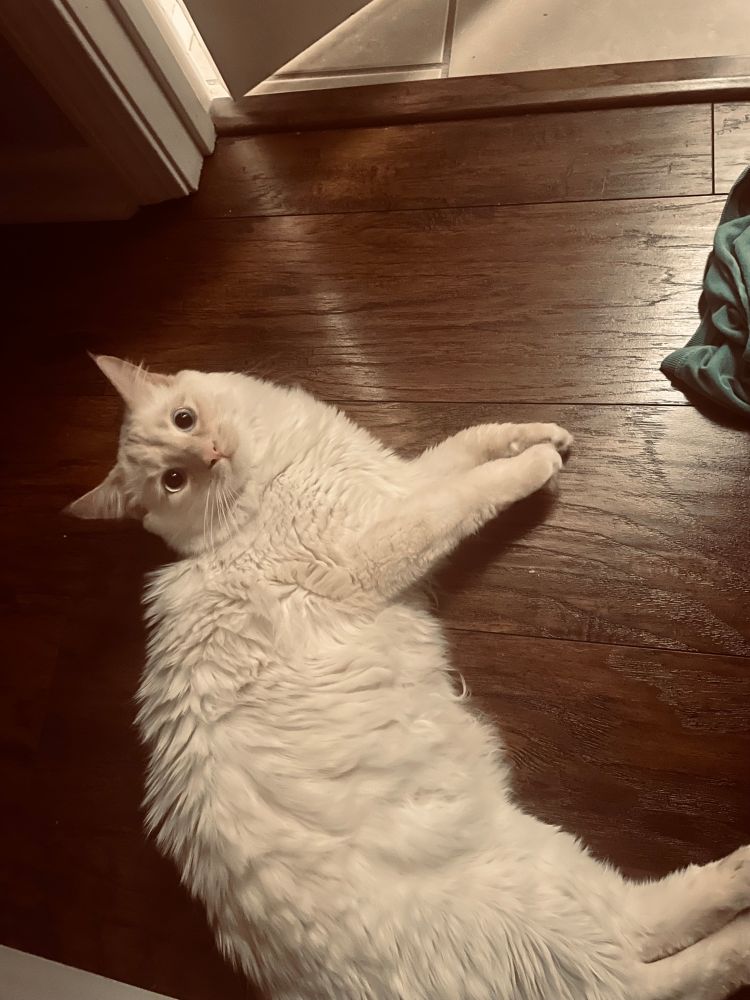 Milo convinced me to take the day off!! 
