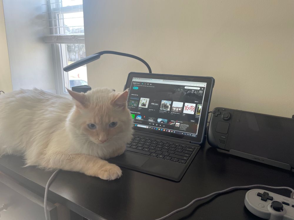 The good boy Milo lays on the desk in front of my music tablet 