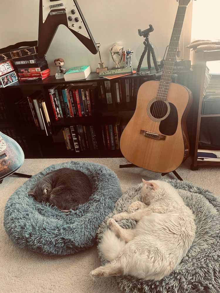 The bean is curled up comfortably in her bed while Milo spills out of his! The boy is too big!! 