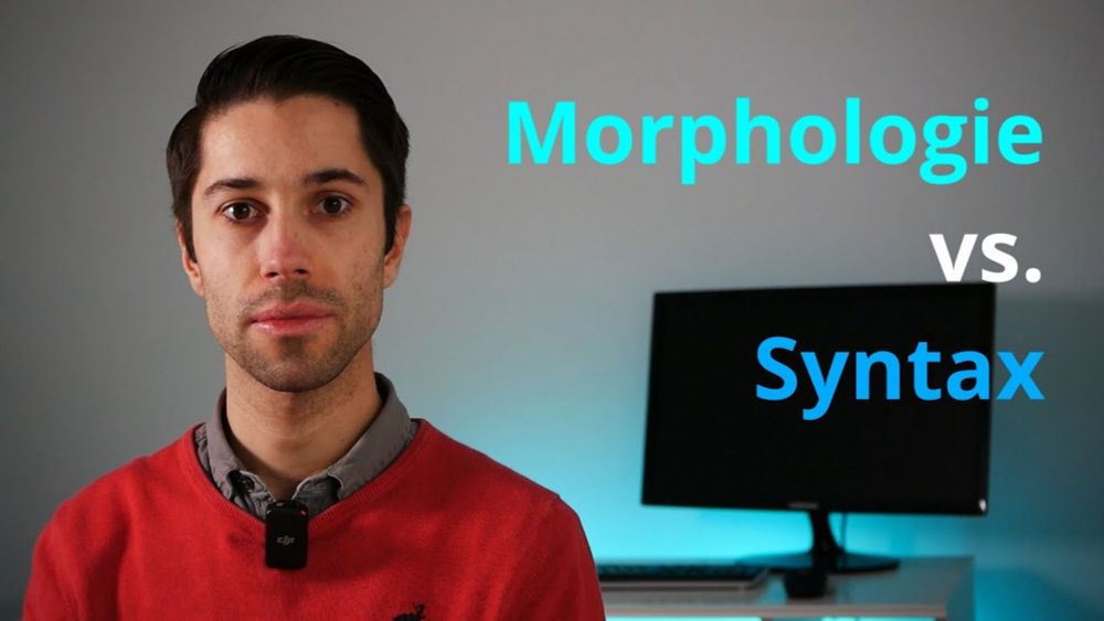 Morphologie vs. Syntax | Grammatik-Grundbegriffe