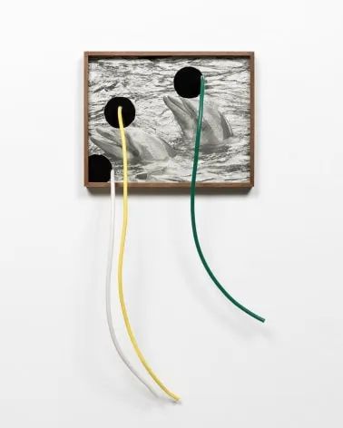 "Untitled (Dolphins, Two), 2014" photograph by Elad Lassry