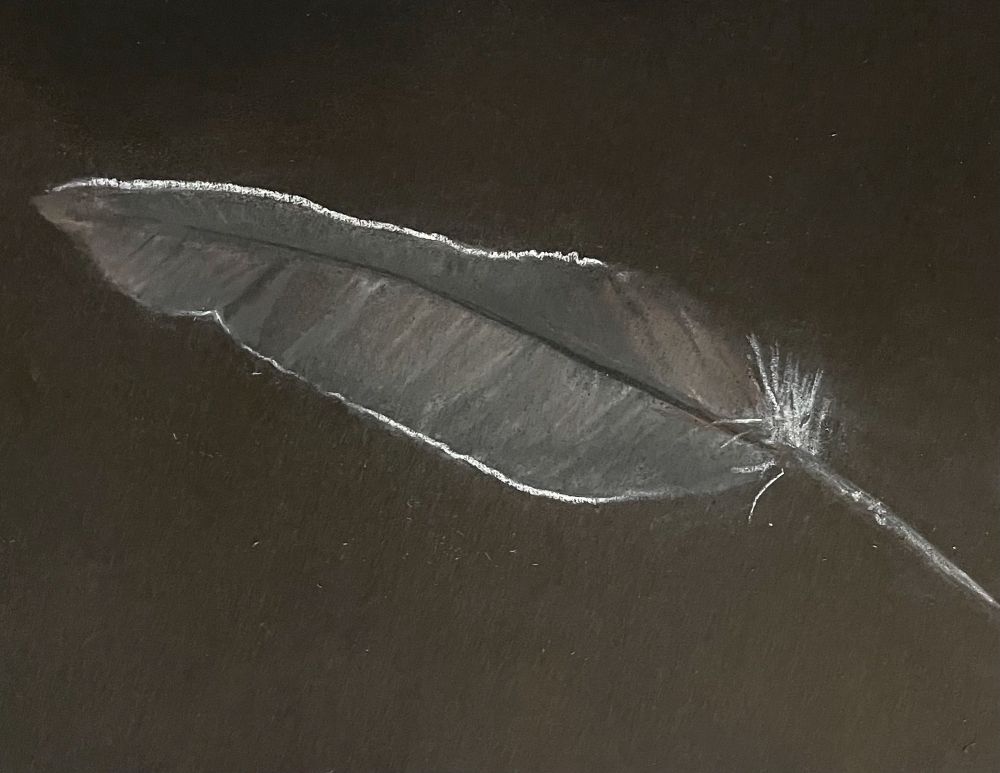 A drawing, using soft pastels on black paper, of a pigeon feather. 
