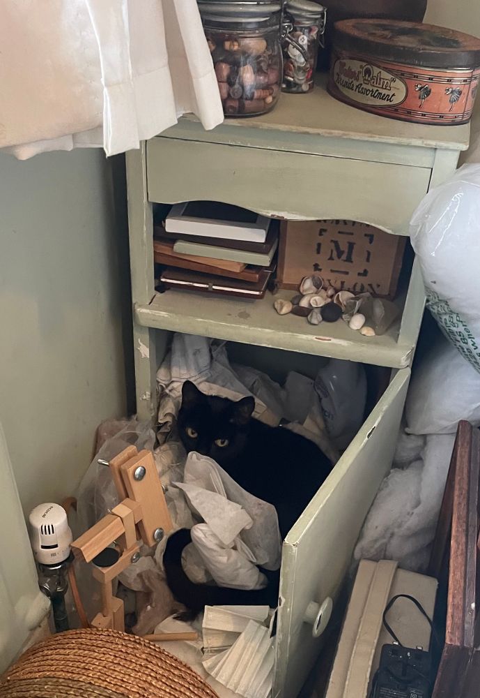 A photo of a sage green cabinet with creative supplies on the shelf and its door open. Surrounding and spilling out of the open door is a mess of fabric, wadding and other haberdashery supplies. Nestled half in and half out of the cabinet, amidst all the white textiles is a small black cat, looking up at the camera. 