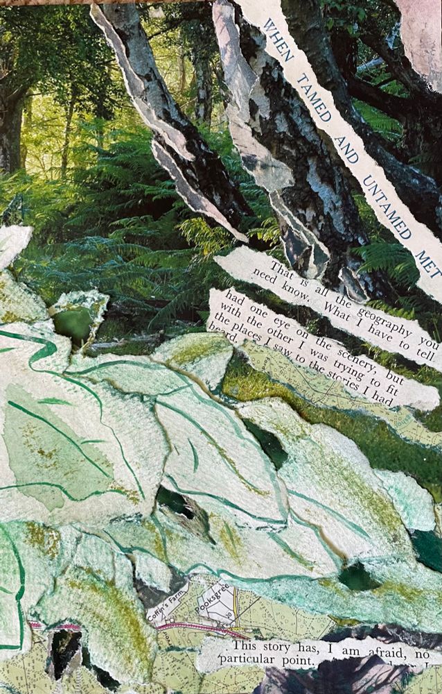 A collage incorporating a background of a photographic image of forest with ferns and birch trees. Extra trunks and texture have been added via collage. The centre of the piece is dominated by torn up water colour and soft pastel leaves with some elements from the background photo added. Torn up maps of forest area are also included. 

To the right hand side of the collage are torn pieces of text from vintage magazines. Put together, they read: When Tamed and Untamed Met … That is all the geography you need to know. What I have to tell … had one wrote on the scenery, but with the other I was trying to fit the places I saw to the stories I had heard … This story has, I am afraid, no particular point. 