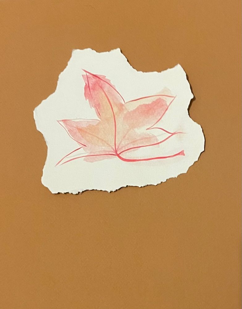 Red and yellow maple leaf depicted in a loose wash using watercolour paint with the colours deliberately not kept within the sharp red outline. Painted on torn paper and placed on an ochre background. 