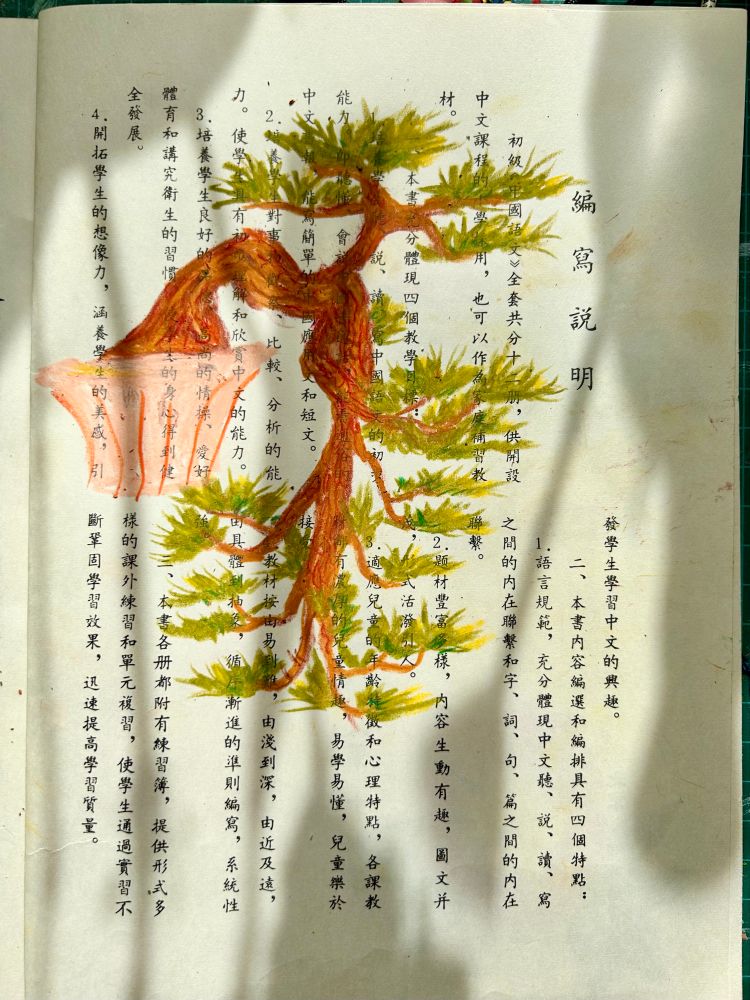 Drawing of a brown and green bonsai pine tree cascading out of its pink pot. Done with oil pastels on the page of a Japanese children’s work book.