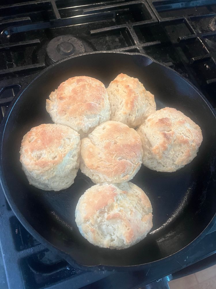 A batch of biscuits