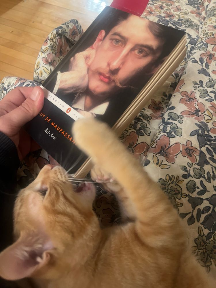 My cat biting a copy of Bel-Ami by Maupassant