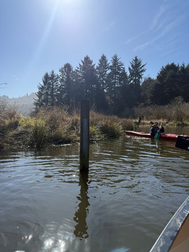 View of sunny day in a wetland 
