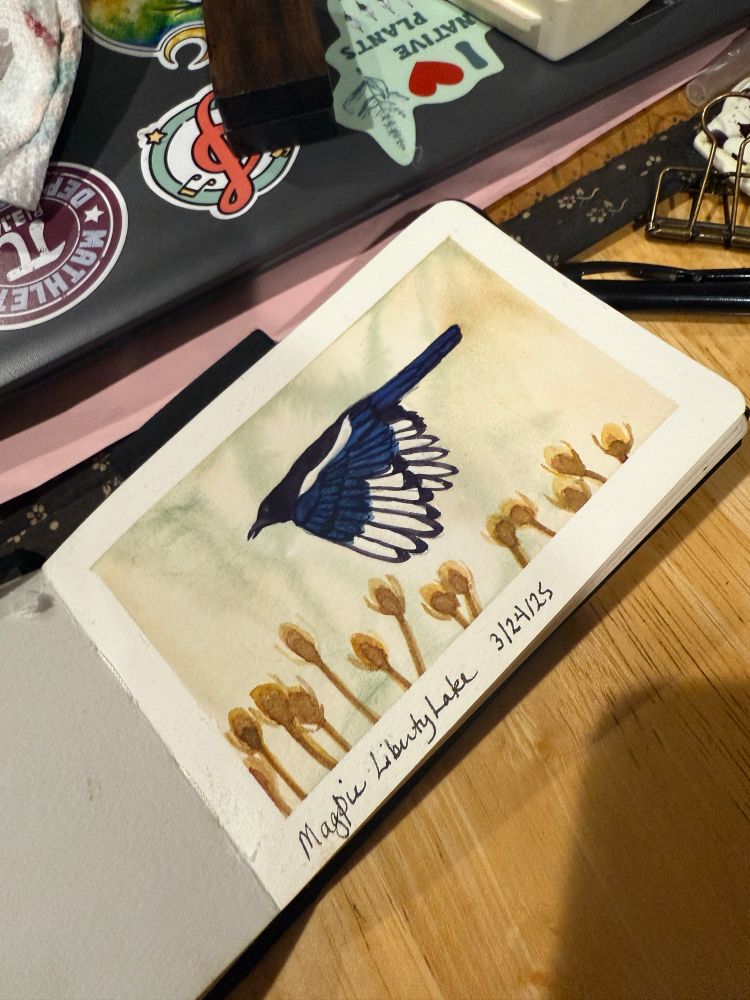 Amateur painting of a magpie flying above a field 