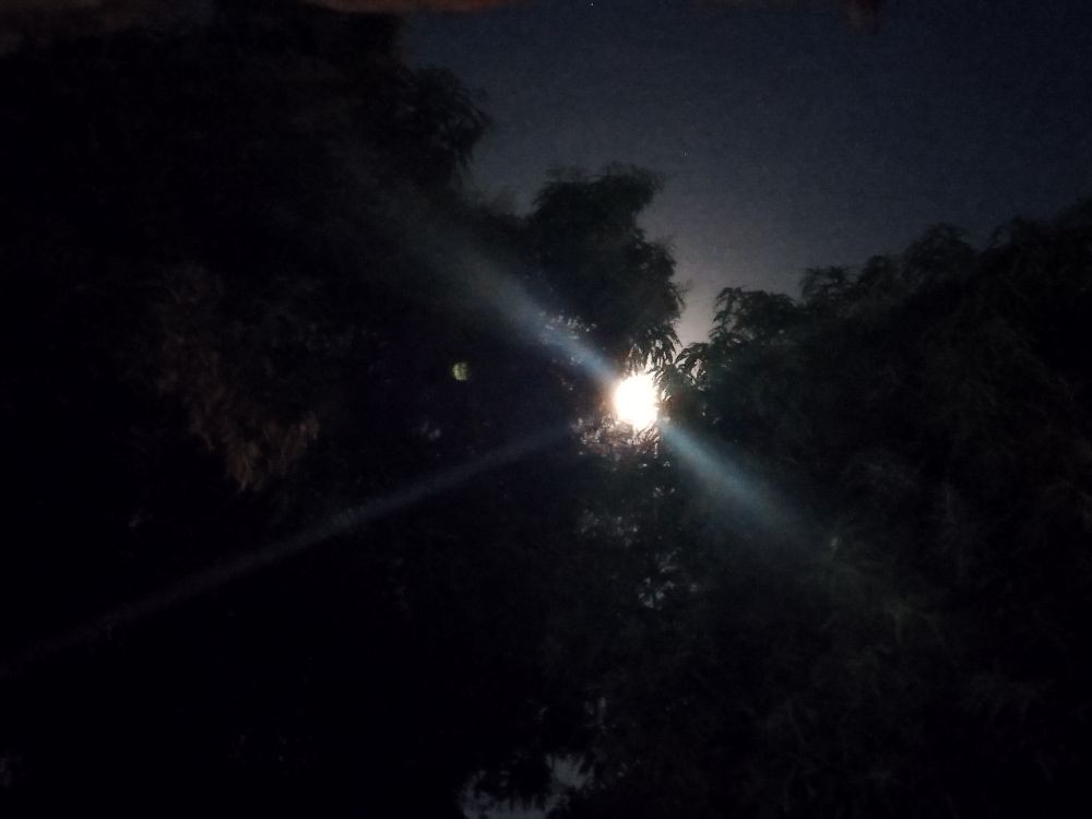 Foto tirada por mim, direcionada ao alto do quintal da minha casa. É noite, maior parte da imagem está ocupada pelos galhos e folha das árvores, com parte do céu sendo visto mais pro canto superior direito. No centro da imagem, levemente para a direita, está um círculo de luz emitindo alguns feixes. É a lua.