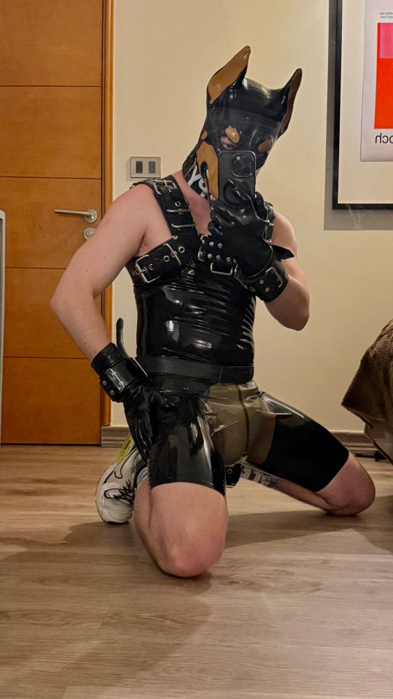 Rubber doberman wearing a rubber singlet with a white diaper underneath. 