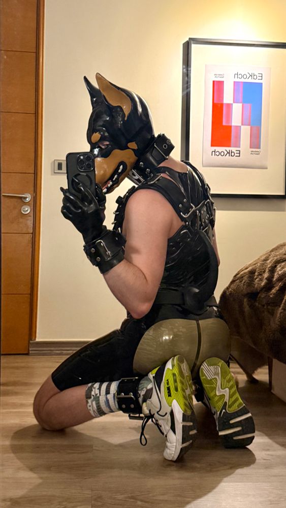 Rubber doberman showing off his rubber covered butt.