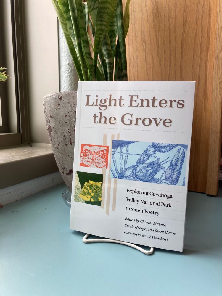 Cover of Light Enters the Grove, with three multi-color nature images