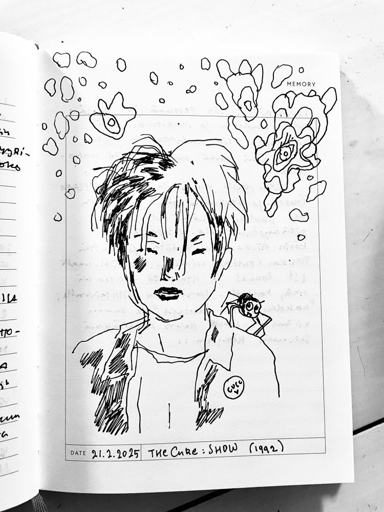 Piirroskuvitus. Hämähäkki istuu goottihenkisen henkilön olkapäällä. Henkilöllä the Cure-yhtyeen pinssi. Taivaalla leijailee outoja kuvioita, jotka mukailevat the Curen Wish-albumin graafikoita, kuviot ovat ikäänkuin henkilön ajatuksia. 