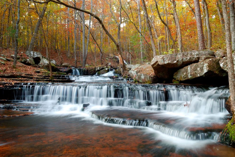 Waterfall cascade in the fall at Collins Creek Trail at Greers Ferry Lake in Arkansas.  Set of flat rock cascades in full fall colors of yellow, oranges, and reds.