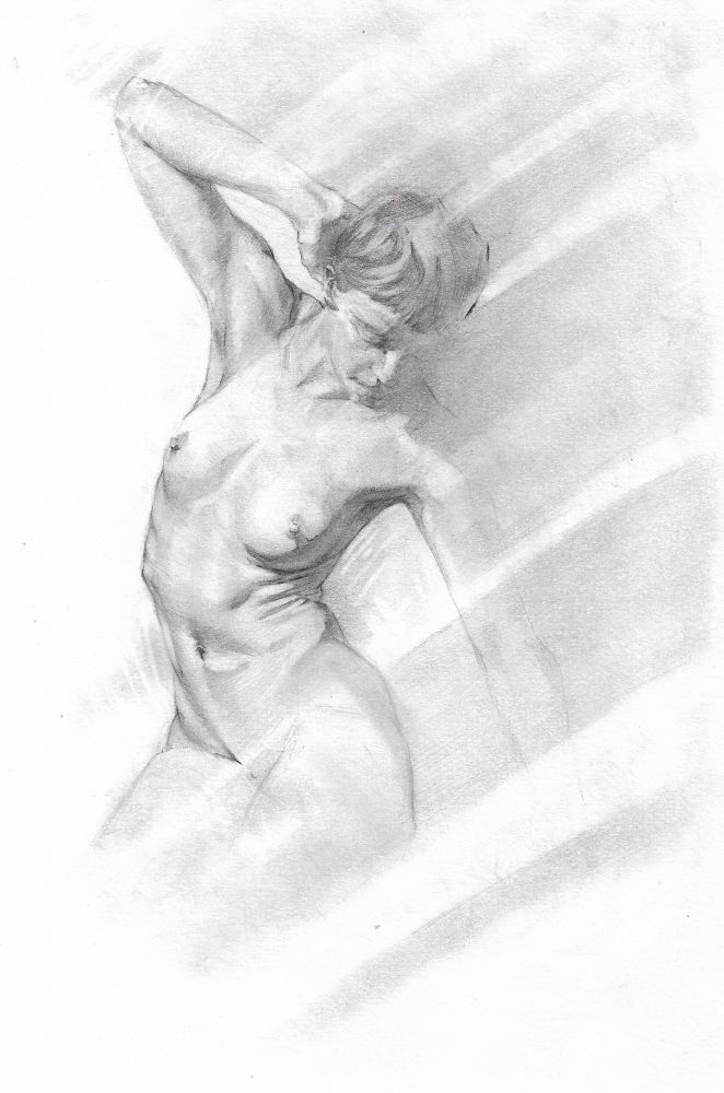 Pencil drawing on paper of a female nude figure focused on the torso.