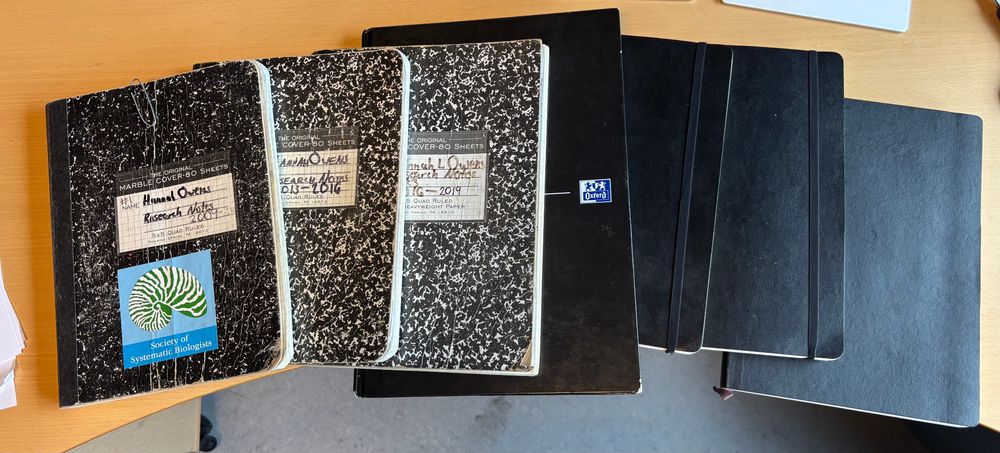 Seven notebooks fanned out on a desk from oldest to newest. The first three are classic marble-cover grid notebooks (which are well-worn and creased), followed by one Oxford hardcover, then three softcover Moleksine notebooks.