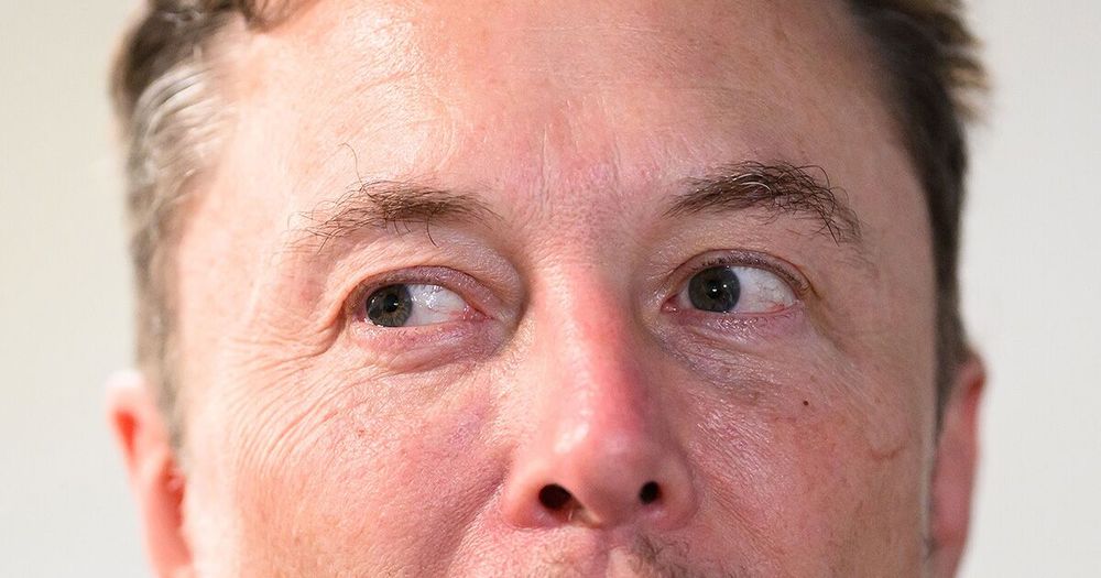 How Elon Musk Spent Three Years Falling Down a Red-Pilled Rabbit Hole