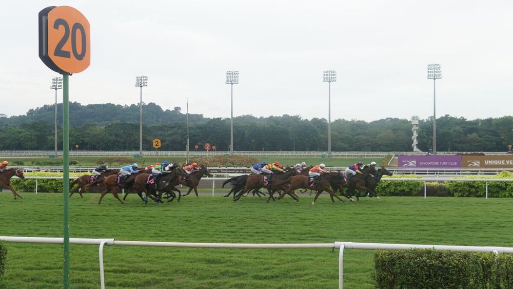 Singapore Ends 181 Years of Horse Racing to Make Way for Homes