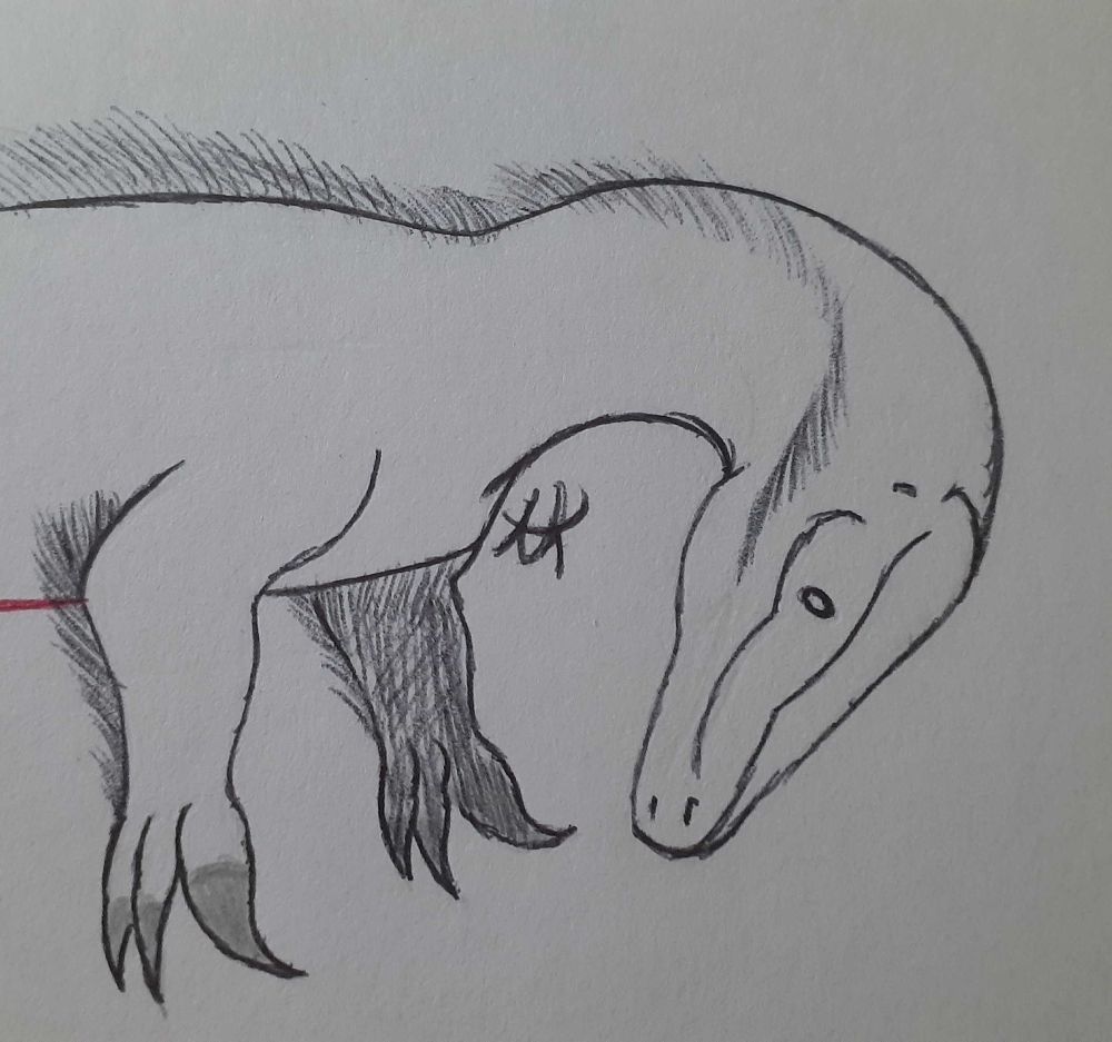 "Megaraptor namunhuaiquii"