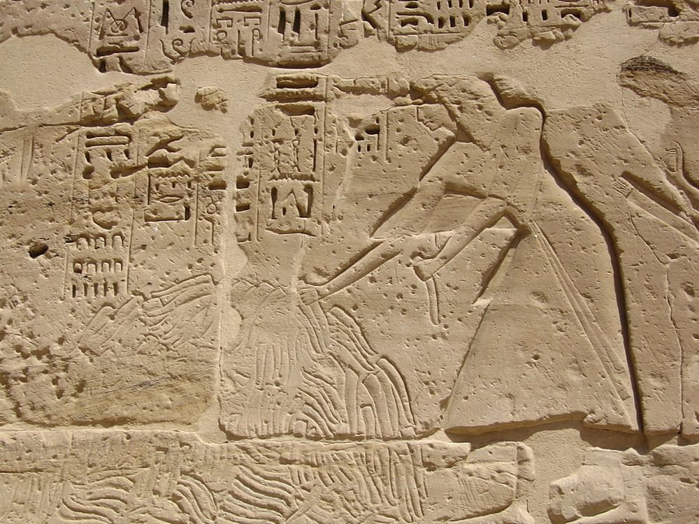 Carved wall at Medinet Habu, showing piles of severed penises being counted.