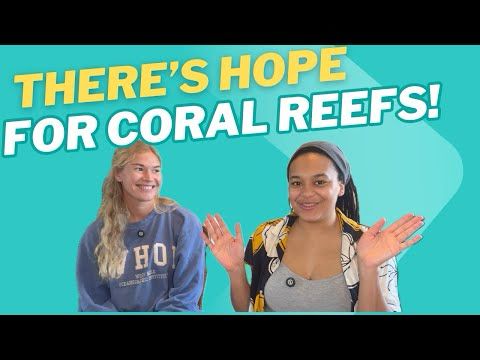 The Corals Are Dying... But Don't Worry There's Hope!