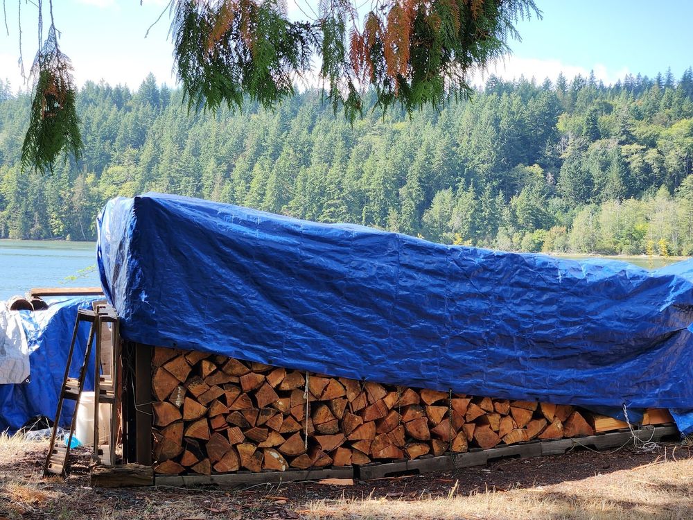 Cedar boughs hanging in the foreground, a cord of freshly stacked wood covered on top by a blue tarp with a background of evergreen trees behind. Taken in September 2025 in Quilcene, Washington.