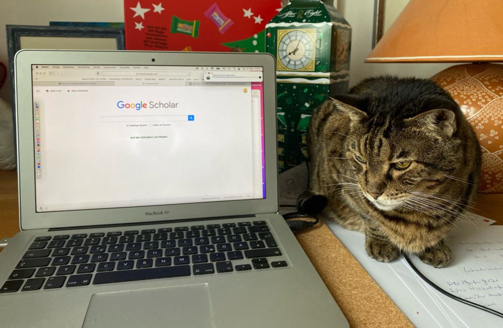 Katze liegt neben dem Computer