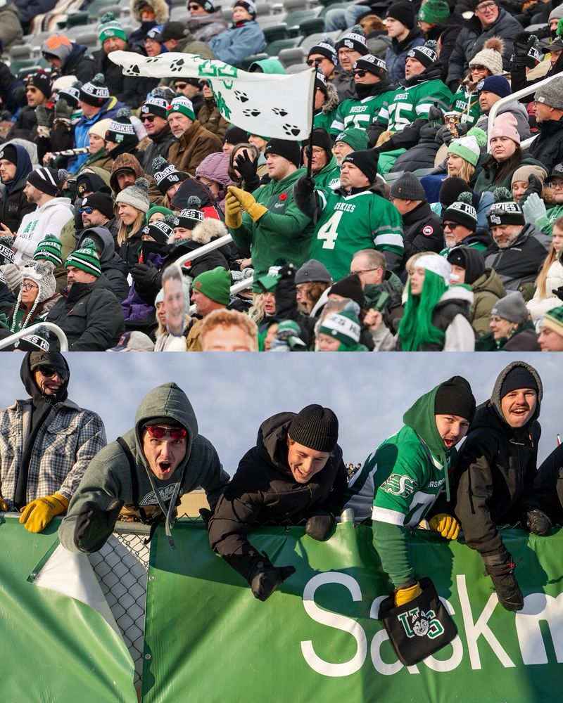 fans cheer enthusiastically at a football game, wearing team colors and gear in a crowded stadium.
