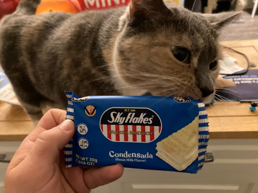 Harper trying to eat a blue cookie package that reads “SkyFlakes Cracker Sandwich”