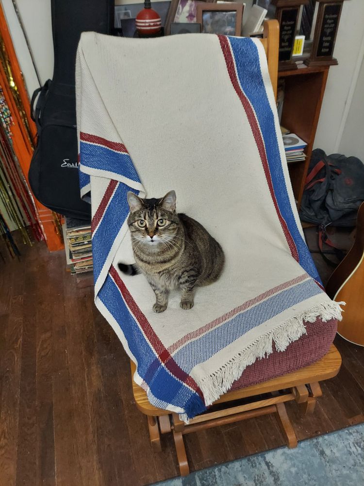 Brown and gray tabby cat sitting on a white blanket with red and blue borders. 