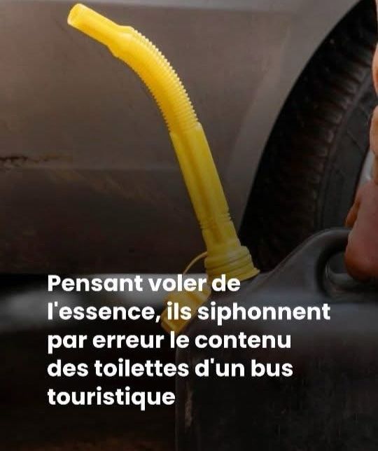 Pensant voler de l’essence, ils siphonnent par erreur le contenu des toilettes d’un bus 