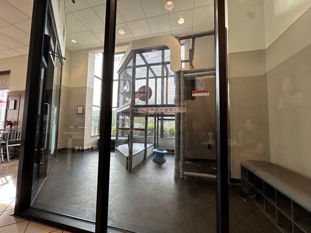 A very gray, very depressing looking, kid’s play area. With very little to actually play with. Like, this is the kind of play area you would build for kids you hated. 