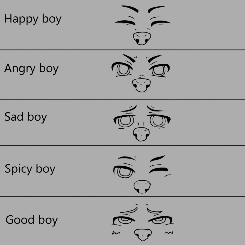 A variant set of eyes, there is happy, angry, sad, spicy and good boy eyes