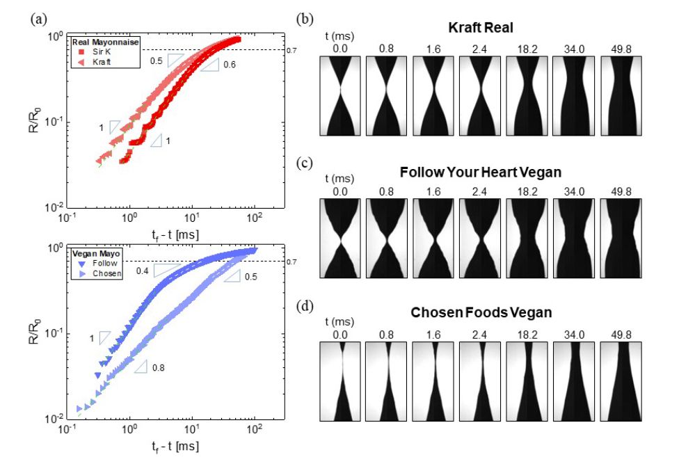 A screenshot of a figure from a paper showing the radius evolution plots and neck shapes of a generic mayo sample to two other vegan mayo samples.