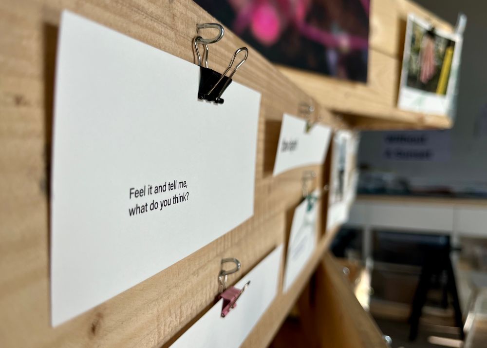 Detail from an archive of scientific fieldwork: quotes and word cards