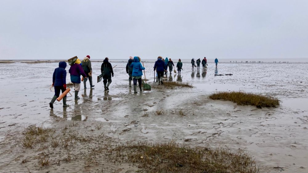 Fieldwork on the Wadden Sea mudflats