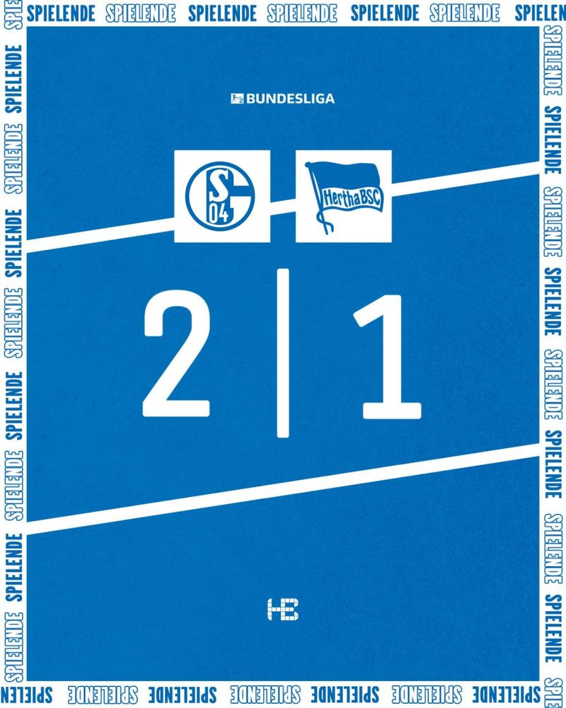 Schalke-Hertha 2:1