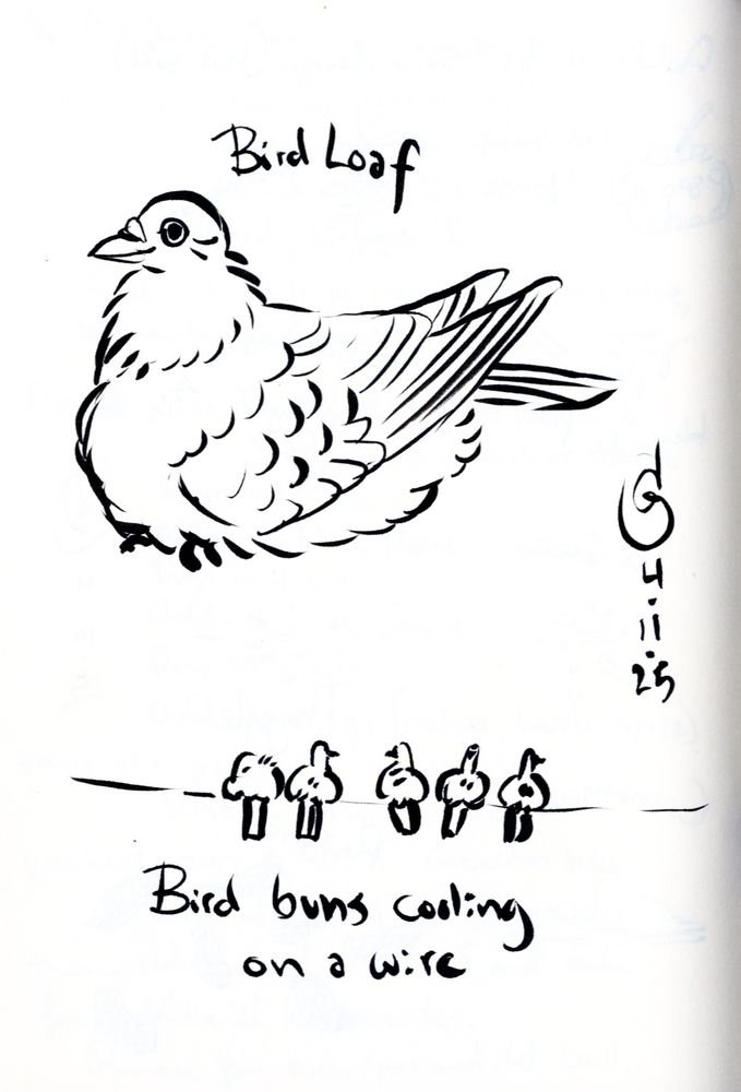 Brush pen drawing in black ink of a pigeon-type bird sitting with its feathers fluffed up and its little feetsies sticking out the bottom. Above it are the words: Bird Loaf. Below it are five cartoonish birds on a wire, below which is written: Bird buns cooling on a wire.