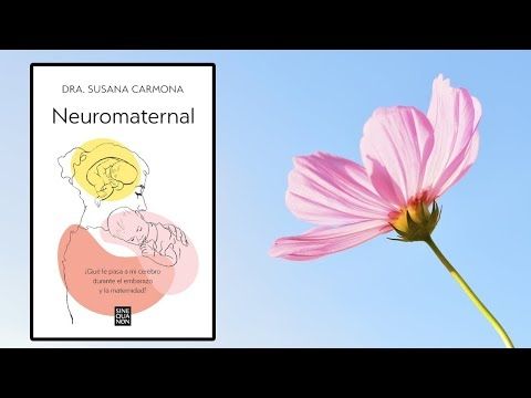 ¿Qué le pasa al cerebro de las mujeres durante el embarazo y la maternidad? Libro de Susana Carmona