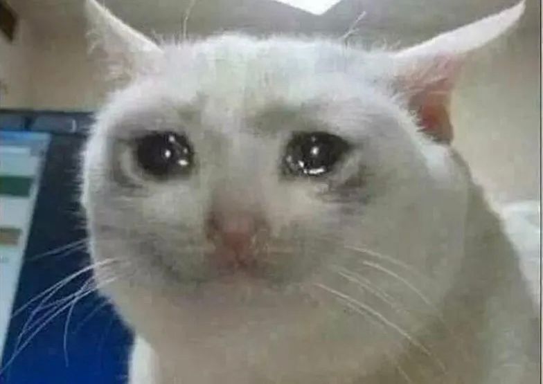 Reaction image of a cat with tears in its eyes