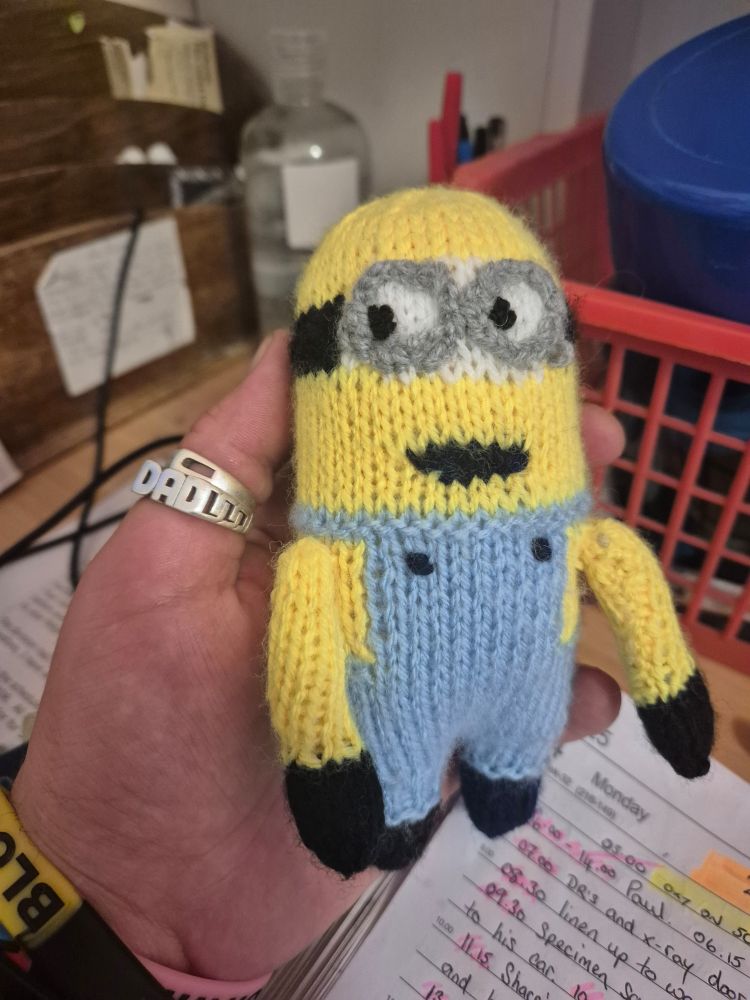 A picture of a hand made minion