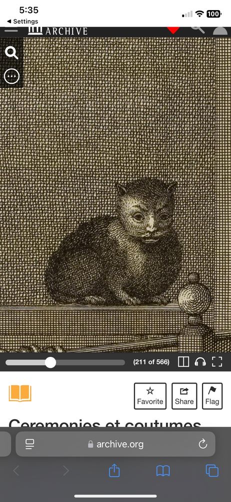 A detail of an engraving showing a cat (whose expression suggests she may be plotting something)