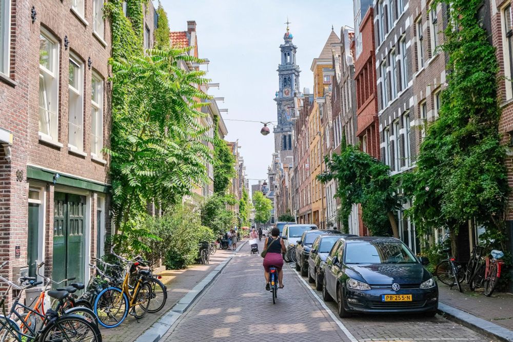 People of all ages and abilities walk, cycle, and drive along the low-traffic streets of Amsterdam, which are lined with buildings, trees, bike infrastructure, and prominent 30 km/hr signage.