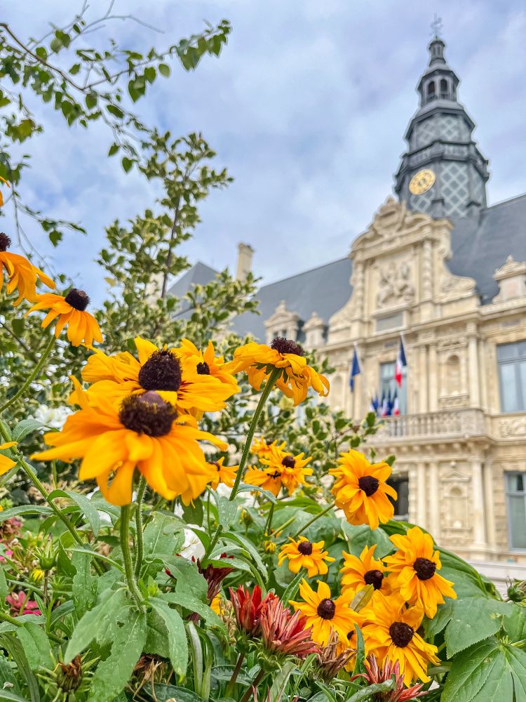 A variety of former on-street car parking spaces in the French city of Reims that have been repurposed into small pocket parks of green space containing plants, trees, and flowers.