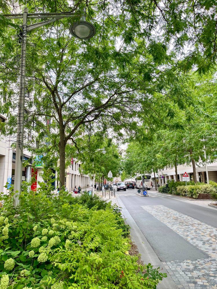 A variety of former on-street car parking spaces in the French city of Reims that have been repurposed into small pocket parks of green space containing plants, trees, and flowers.