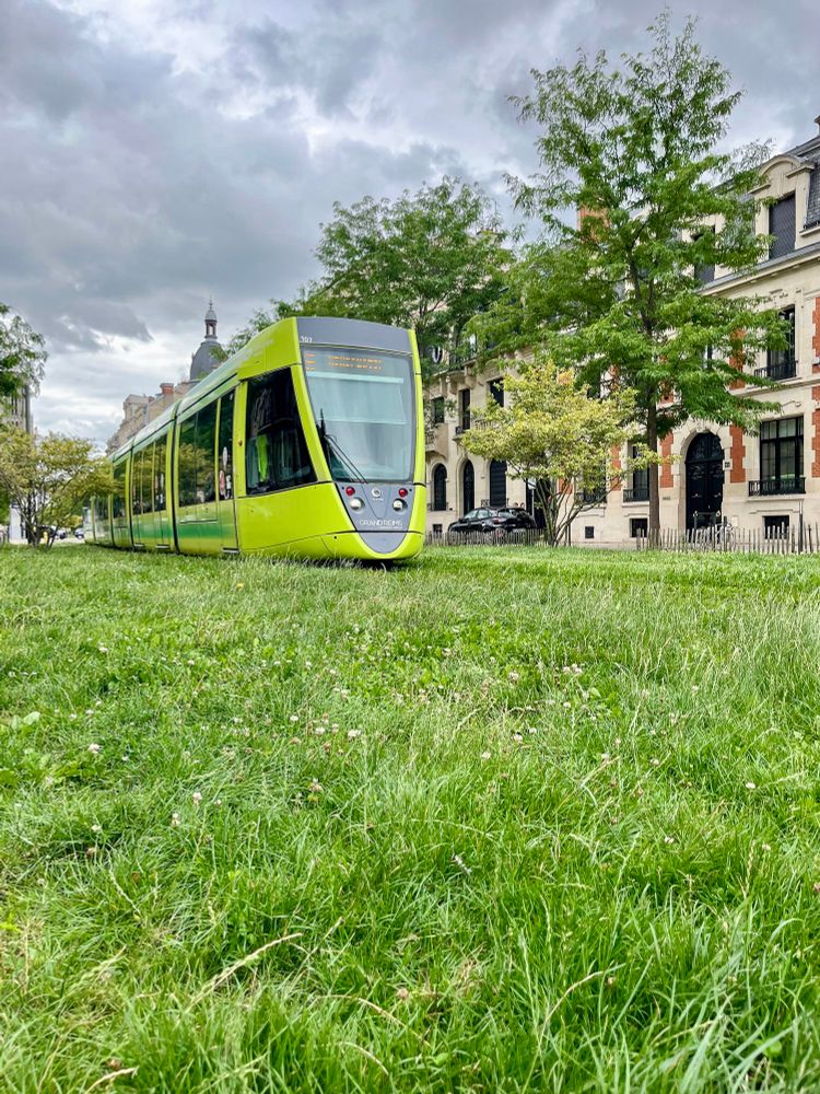 Various photos of colourful trams moving along grassy streets lined with trees and vegetation in Reims, France.